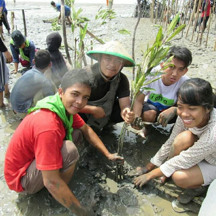 Volunteers planting young mangroves on a muddy shoreline