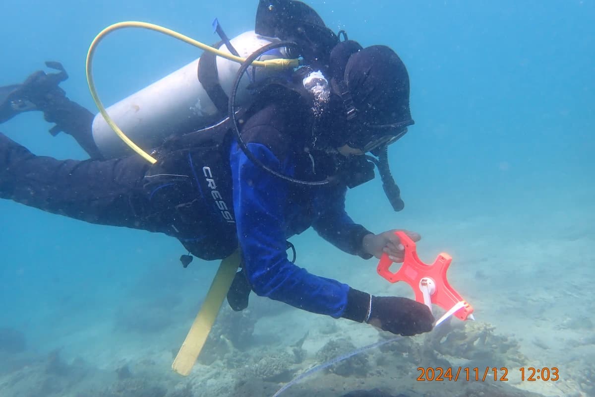 Scuba diver monitoring coral reef condition using a transect tape in Sabang waters