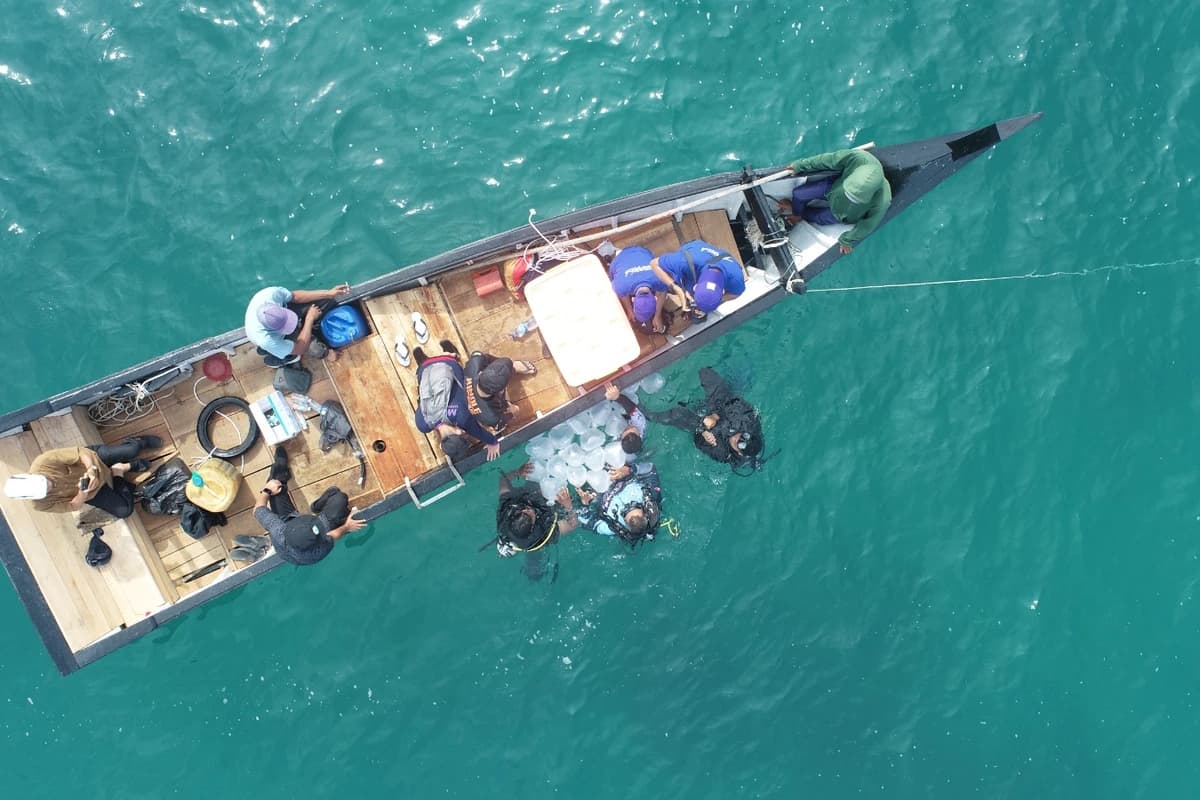 Aerial drone view of dive team and traditional wooden boat transporting coral fragments in oxygenated containers