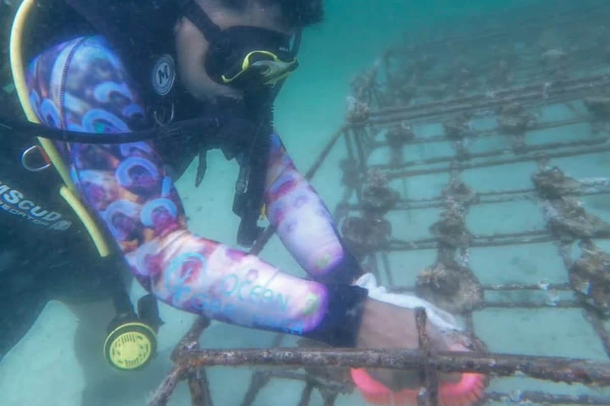 A coral fragment being measured in an underwater nursery in Aceh