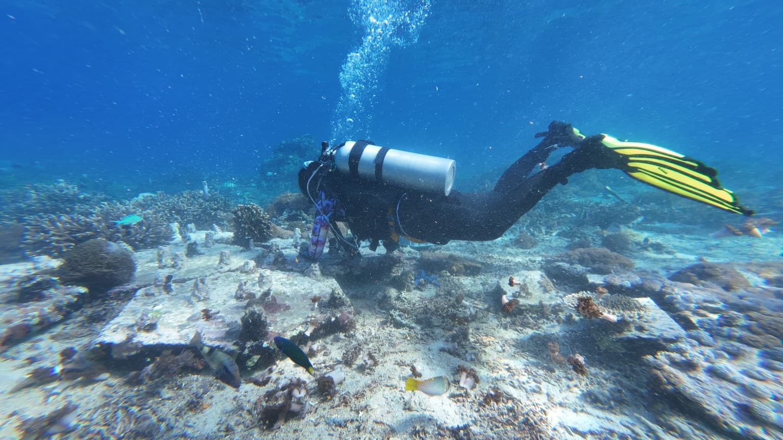 Aceh Aquatic Youth diver working around a coral reef in Aceh