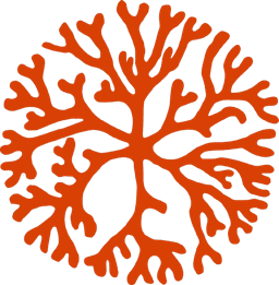 Aceh Aquatic Youth logo