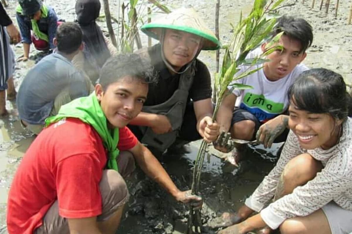 Youth volunteers from Aceh Aquatic Youth planting mangrove seedlings in the muddy coastal intertidal zone of Aceh Besar