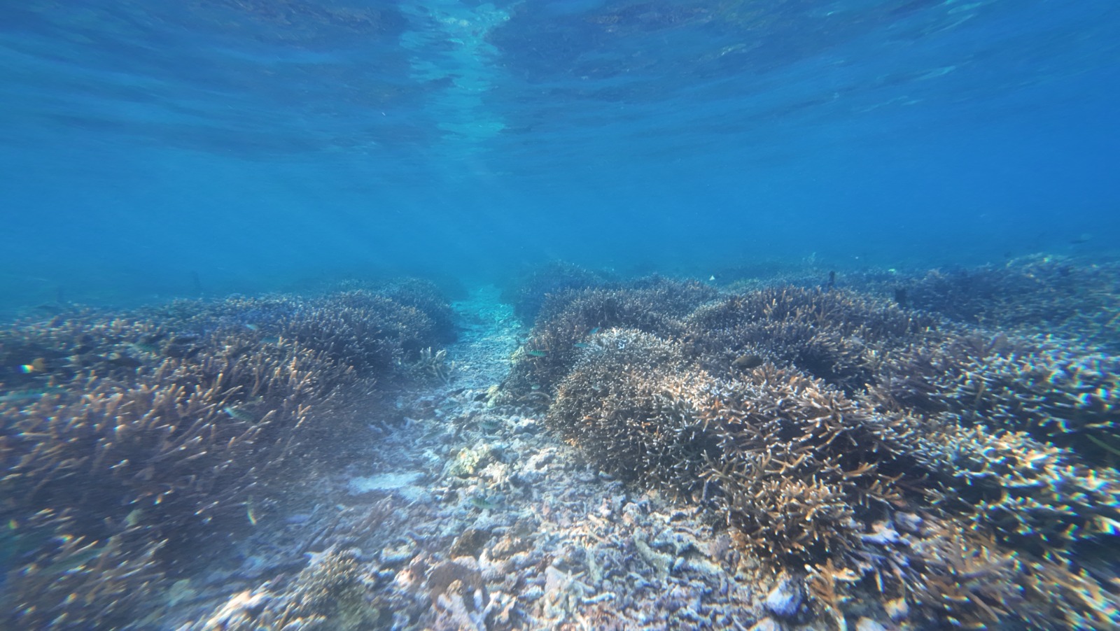 Aceh Aquatic Youth meeting and preparation