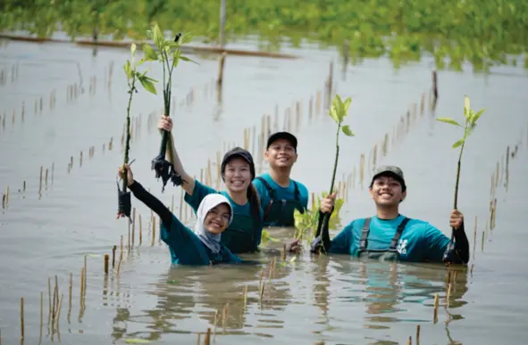 Aceh Aquatic Youth team planting corals during a restoration activity